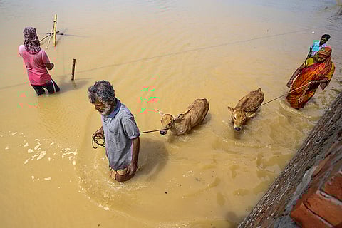 Flood-hit Baldakhal village in Agartala